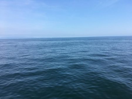 アジ、エソのみツバスは見てるだけ